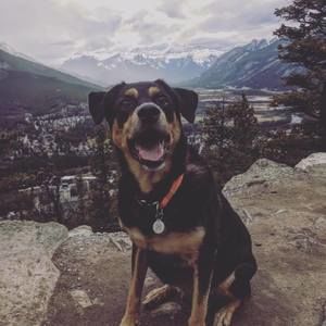 Meet your Posher, Will